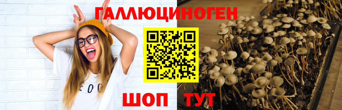 Галлюциногенные грибы ЛСД  Вход с VPN  Шебекино 